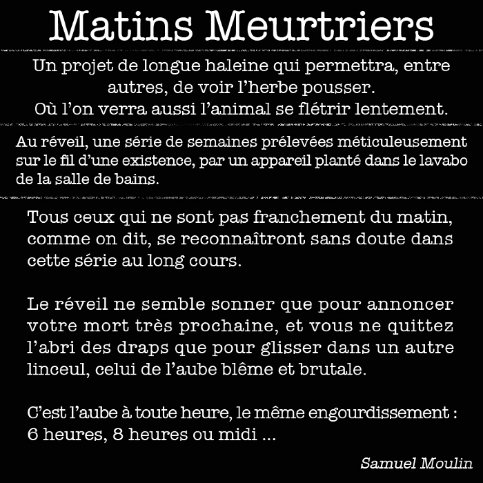 Matin meurtre